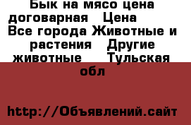 Бык на мясо цена договарная › Цена ­ 300 - Все города Животные и растения » Другие животные   . Тульская обл.